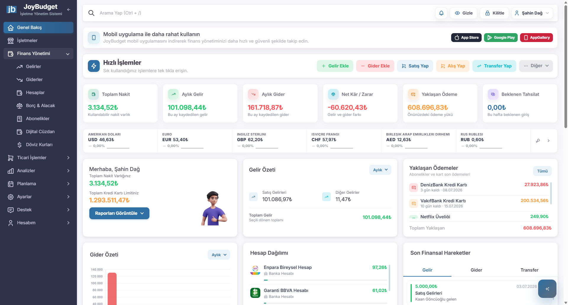 JoyBudget Perakende için JoyBudget Web Panel